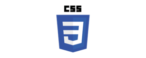 css-logo